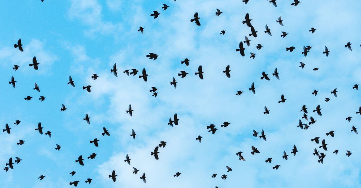How to Migrate to the Cloud UK Without Disruption