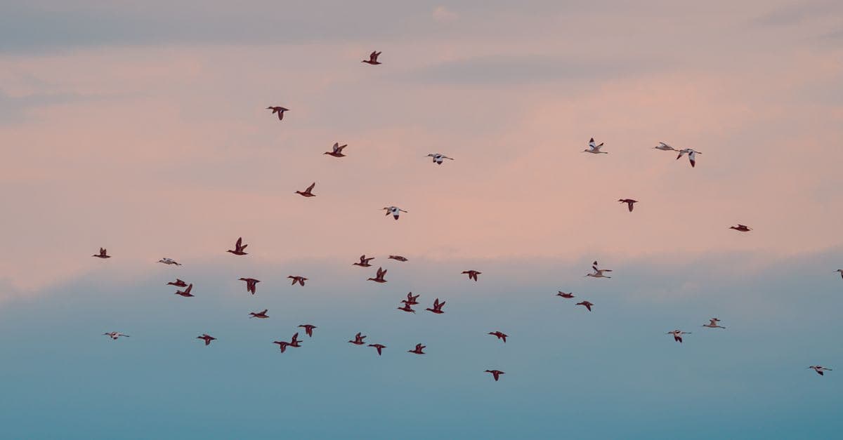 Cloud Migration Strategy UK: A Practical Decision Guide