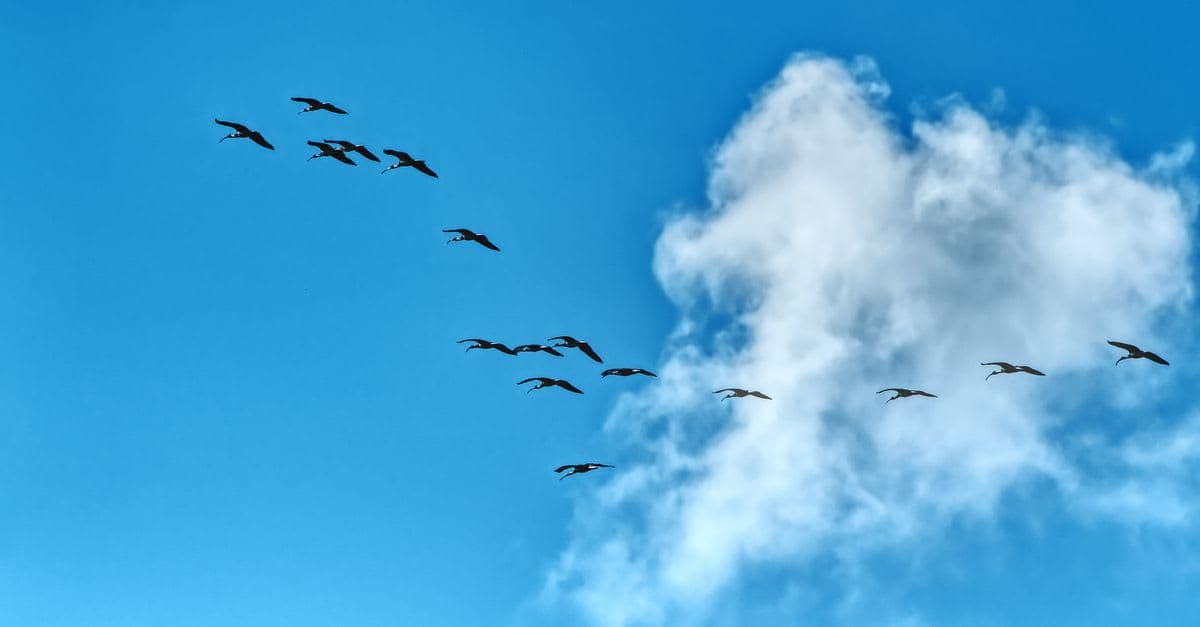 Cloud Migration for Small Business UK: Practical Guide